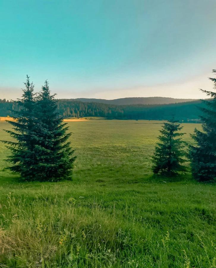 Alpin Apartments Власич Экстерьер фото