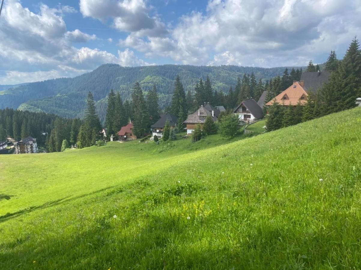 Alpin Apartments Власич Экстерьер фото